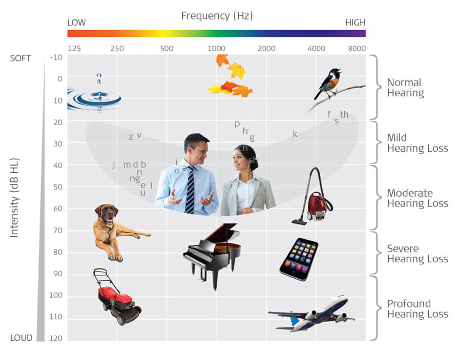 degree of hearing loss